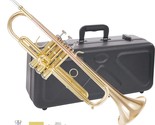 Kayata Bb Trumpet With An 85 Gold Copper Body And Bell, A 7C Red Brass L... - £195.69 GBP