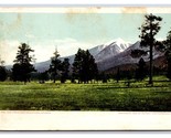 San Francisco Mountains Arizona AZ UNP Detroit Publishing UDB Postcard W18 - $6.88