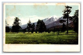San Francisco Mountains Arizona AZ UNP Detroit Publishing UDB Postcard W18 - £5.49 GBP