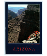 Claret Cup Hedgehog Cactus Grand Canyon AZ Aerial View Postcard - $129.82 MXN