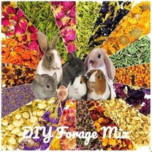 Build Your Own Forage Premium DIY Forage Delicacy - Healthy Natural High-Fiber  - £7.18 GBP