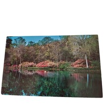 Postcard Azaleas Reflected Mirror Lake Bellingrath Gardens Alabama Chrome - £5.56 GBP