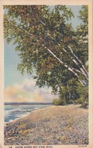 Bay View MI Michigan Shore Scene 1948 Postcard E03 - £2.32 GBP