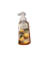 Bath &amp; Body Works GOLDEN APRICOT Gentle Foaming Hand Soap 8.75oz. RARE - $9.25