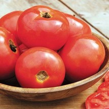 USA SELLER Iron Lady Tomato Seeds Fast Shipping - £7.32 GBP