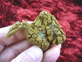 (PP280-449) 2&quot; Genuine Fossil TURTLE POOP Coprolite Madagascar DUNG Gag ... - $318.91 MXN