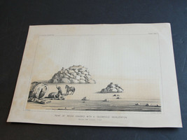 1855 Chromolithograph-Point of Rocks covered with a Calcareous Incrustation.RARE - £22.47 GBP