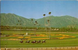 Vtg Postcard Santa Anita Park, Arcadia California 14 miles from Downtown LA. - £4.56 GBP