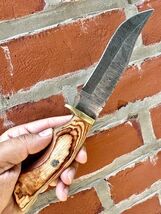 CUSTOM HANDMADE DAMASCUS STEEL HUNTING SKINNING KNIFE WOOD HANDLE BRASS ... - $29.69