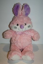 Publix Easter Bunny Rabbit 16&quot; Pink Purple Plush Soft Stuffed Gingham Bo... - £27.43 GBP