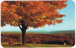 Postcard Flaming Tree Pocono Mountains Of Pennsylvania - £3.10 GBP