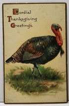 Cordial Thanksgiving Day Embossed Turkey TB Ventures Fulton St., NY Postcard C14 - £5.39 GBP