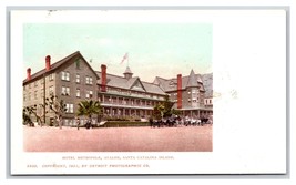 Hotel Metropole Santa Catalina  CA UNP Detroit Publishing UDB Postcard M17 - £3.66 GBP