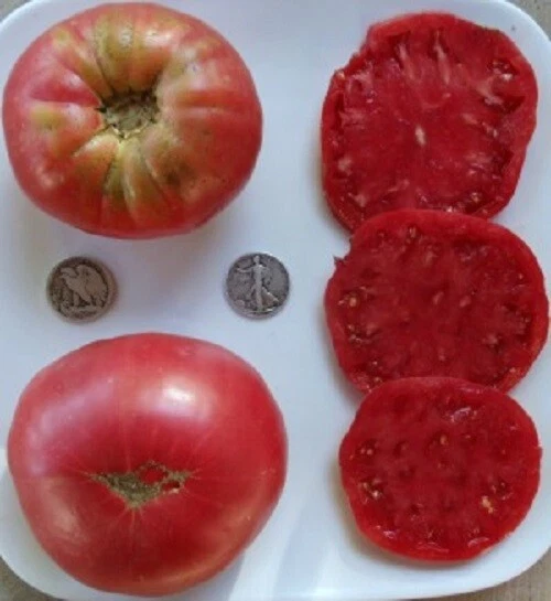 Rose Huge Pink Heirloom Beefsteak Delicious – 25 Seeds Stunning - $3.21