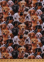 Cotton Dogs Dog Breeds Pugs Labs Animals Pets Fabric Print BTY (D651.09) - £23.58 GBP
