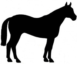 Quarter Horse QH Equine Decal Black Silhouette Profile Sticker on a Clea... - $4.00
