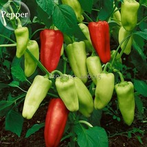 Heirloom Organic Green Red White Hot Chilli Pepper Vegetables, 20 Mixed Seeds, g - £6.04 GBP