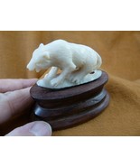 (tb-bin-5) Binturong Bearcat Nutria Muskrat TAGUA NUT palm figurine Bali... - $70.45 CAD