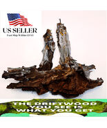 NATURAL MANGROVE DRIFTWOOD #315 WYSIWYG - AQUASCAPING, SUPER PRICE!! DEC... - €46,74 EUR