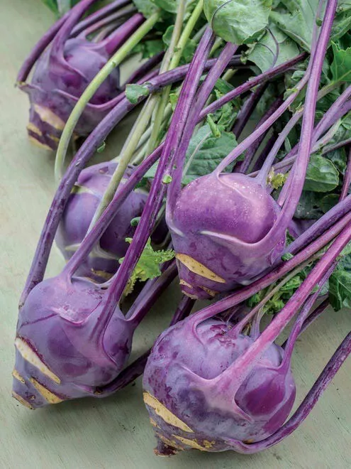 200+ seeds Purple Vienna Kohlrabi,  NON-GMO Heirloom Fresh Garden Seeds - $11.98