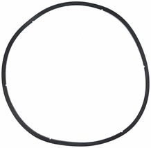 Pentair PacFab 350166 Lid Gasket for EQ Series Commercial Plastic Pump - £21.69 GBP