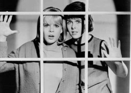 I Saw What You Did 1965 Sara Lane Andi Garrett look through window 5x7 photo - $7.99