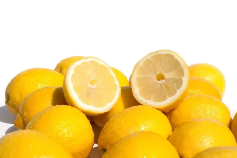 5 Fino Citron Lemon Seeds for Garden Planting - $7.97