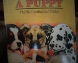 Calico Picks A Puppy [Paperback] Tildes, Phyllis Limbacher - £2.35 GBP