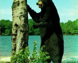 Vtg Dextone Chrome Postcard 1950s Bruin Bear Standing Up Next To Tree UN... - £3.10 GBP