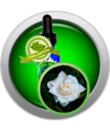 Gardenia (Gardenia Jasminoides) Absolute Essential Oil - €6,87 EUR+