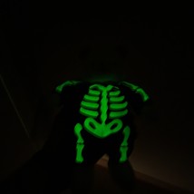 Glow in the Dark Skeleton Teddy Hallmark Little Brandon Bear Halloween Plush 8&quot; - £9.37 GBP