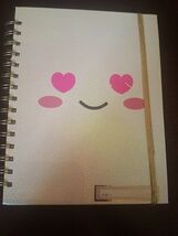 17 Month Agenda August 2019 - December 2020 - $18.41