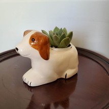 Dog Animal Planter with Succulent, live house plant in ceramic Puppy Plant Pot