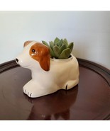 Dog Animal Planter with Succulent, live house plant in ceramic Puppy Pla... - £15.94 GBP