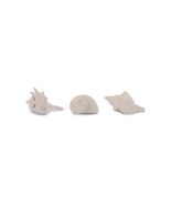 Sea Shell Filler Decor (Set of 12) - $181.36 CAD