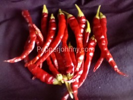 20+ Cayenne pepper seed hot pepper seed heirloom chili gift for gardener - $2.50