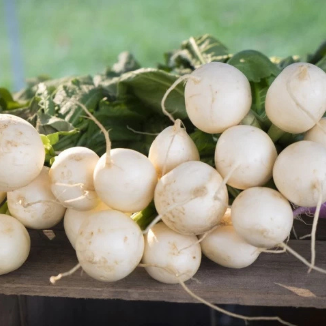 small fruit Radish - 800 Seeds - $7.57