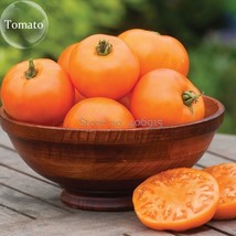 100% Rare Edible Light Orange Big Juicy Tomato, 100 seeds, green healthy nutriti - £2.79 GBP