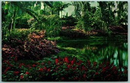 Red Salvia Pink Azaleas Flowers Cypress Gardens Florida UNP Chrome Postcard I8 - £2.79 GBP