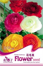 20 Seeds Ranunculus Seed Ranunculus Asiaticus Flowers Seeds Fresh - $65.48 MXN