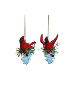 Cardinal 95059 Pine Cone Crystal Cut Acrylic Clear Resin Bird Ornament  ... - $33.83 CAD