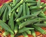 50 Emerald Okra Seeds Heirloom Non Gmo Fresh Fast Shipping - £7.20 GBP
