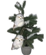 2021 Wondershop Ornaments Lot Of 2 Owls NEW - €18,33 EUR
