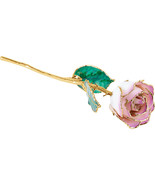 Lacquered Cream Picasso Rose with Gold Trim - £80.54 GBP