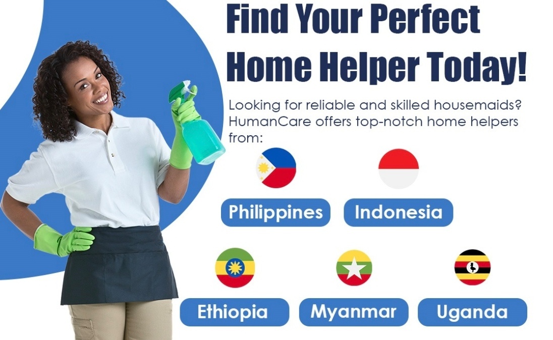 Family Helper / Maid Consultation Service - $980.00