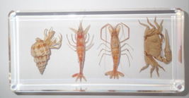 Item image 12
