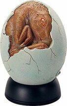 Ebros 5.25 Inch Brown Rust Colored Baby Dinosaur Cracked Egg Hatchling - $25.99
