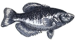 Nature&#39;s Bounty Beautiful Custom Fish Sketch[Black Crappie Fish ] Embroidered Ir - £8.10 GBP