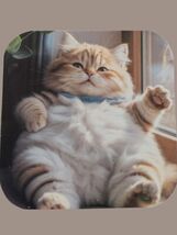 Glossy Magnet – Fluffy Cat Lounging by Window –  Adorable - $6.62 CAD