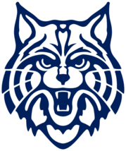 Arizona Wildcats College Logo Poster Art Print Metal Sign 12X8in Vintage... - $24.74